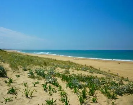 Holiday home Maison Entre Cote Basque Et Cote Landaise *